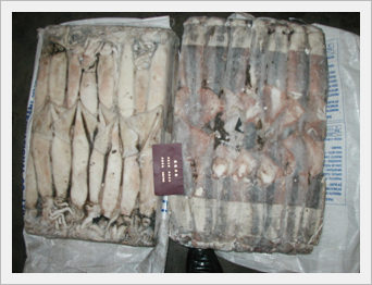Seafrozen Illex Squid Whole Round Made in Korea